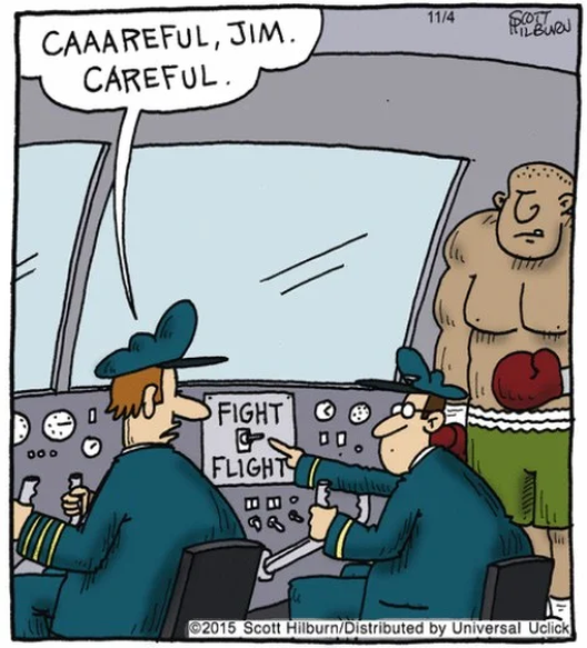Fight or flight